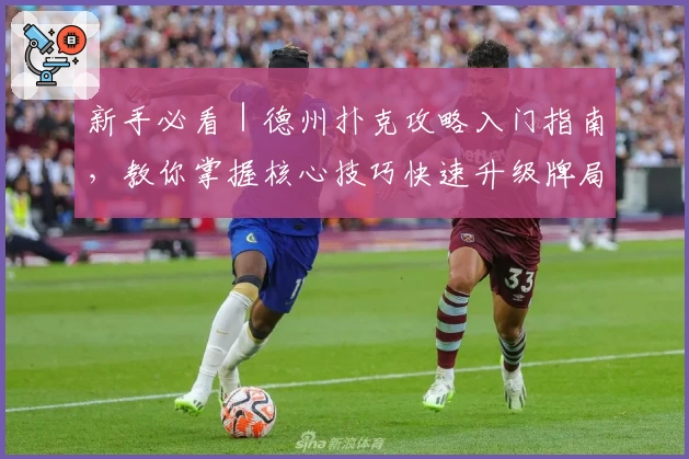 新手必看｜德州扑克攻略入门指南，教你掌握核心技巧快速升级牌局水平