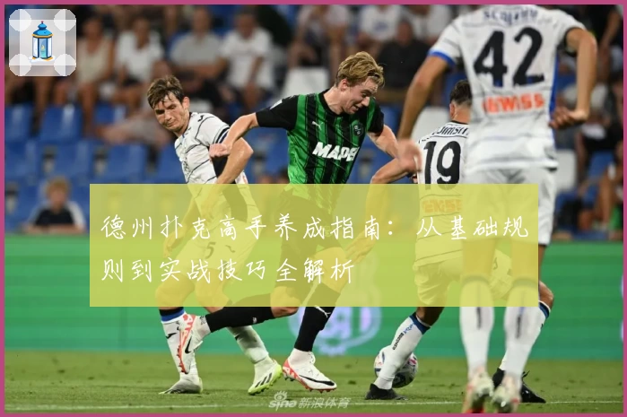 德州扑克高手养成指南：从基础规则到实战技巧全解析