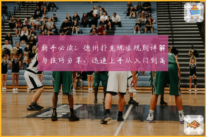 新手必读：德州扑克玩法规则详解与技巧分享，迅速上手从入门到高阶玩家