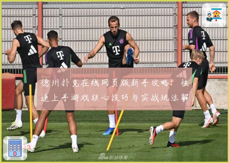 德州扑克在线网页版新手攻略：快速上手游戏核心技巧与实战玩法解析