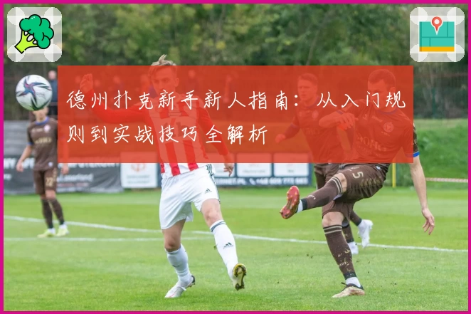 德州扑克新手新人指南：从入门规则到实战技巧全解析