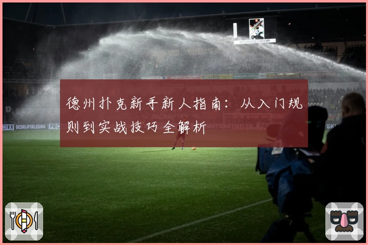 德州扑克新手新人指南：从入门规则到实战技巧全解析