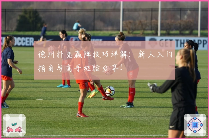 德州扑克赢牌技巧详解：新人入门指南与高手经验分享！